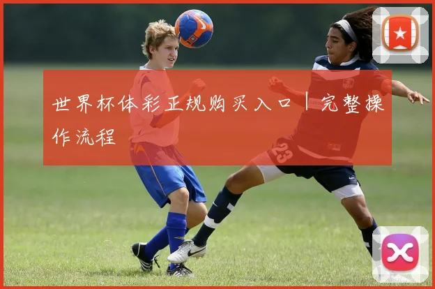世界杯体彩正规购买入口｜完整操作流程