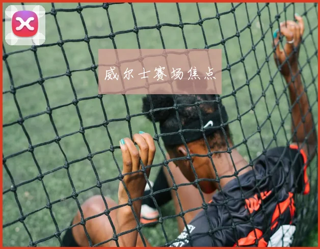 威尔士赛场焦点