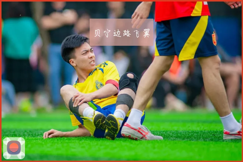 贝宁边路飞翼