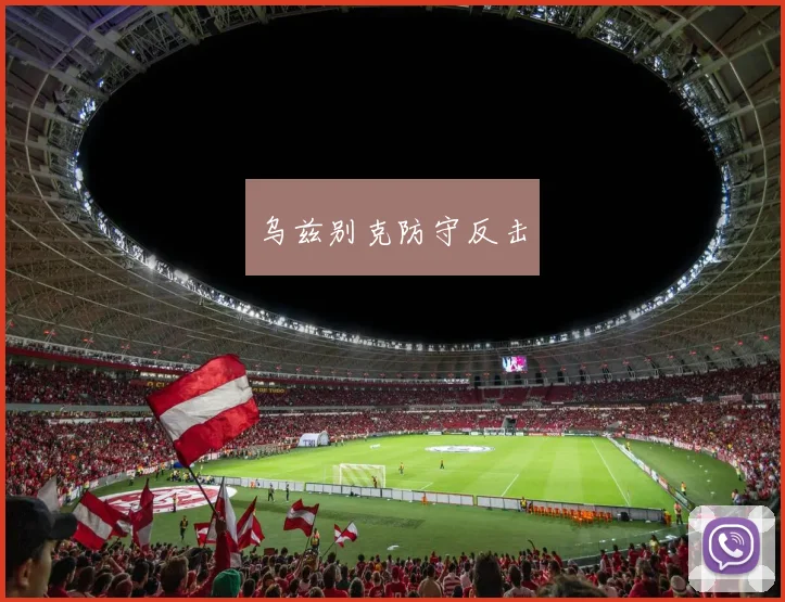乌兹别克防守反击