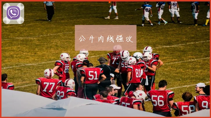 公牛内线强攻