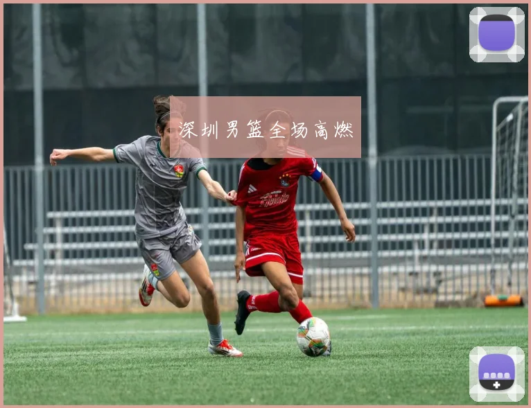深圳男篮全场高燃